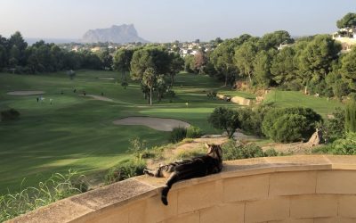 Golfresort Ifach: Een paradijs voor golfers en natuurliefhebbers.